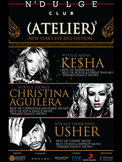 ATELIER NYE artwork  4512