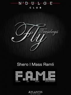 Fly Tuesday artwork  4838