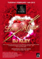 Valentine's Day at Summer Place: The Lov artwork  4860
