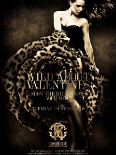Cavalli Club Presents Wild About Valenti artwork  4872