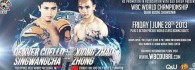 WBC - World Boxing Championship - 28 Jun,2013_jun_28,Hall No. 8, World Trade Center