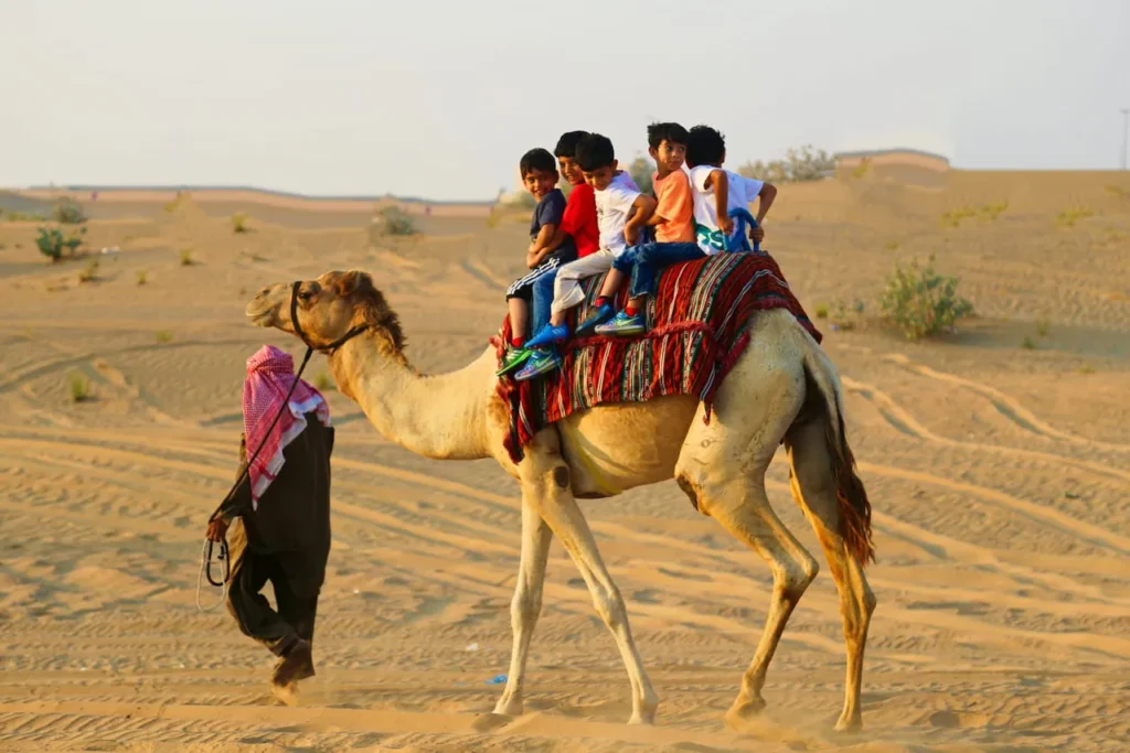 camel riding in desert safari dubai
