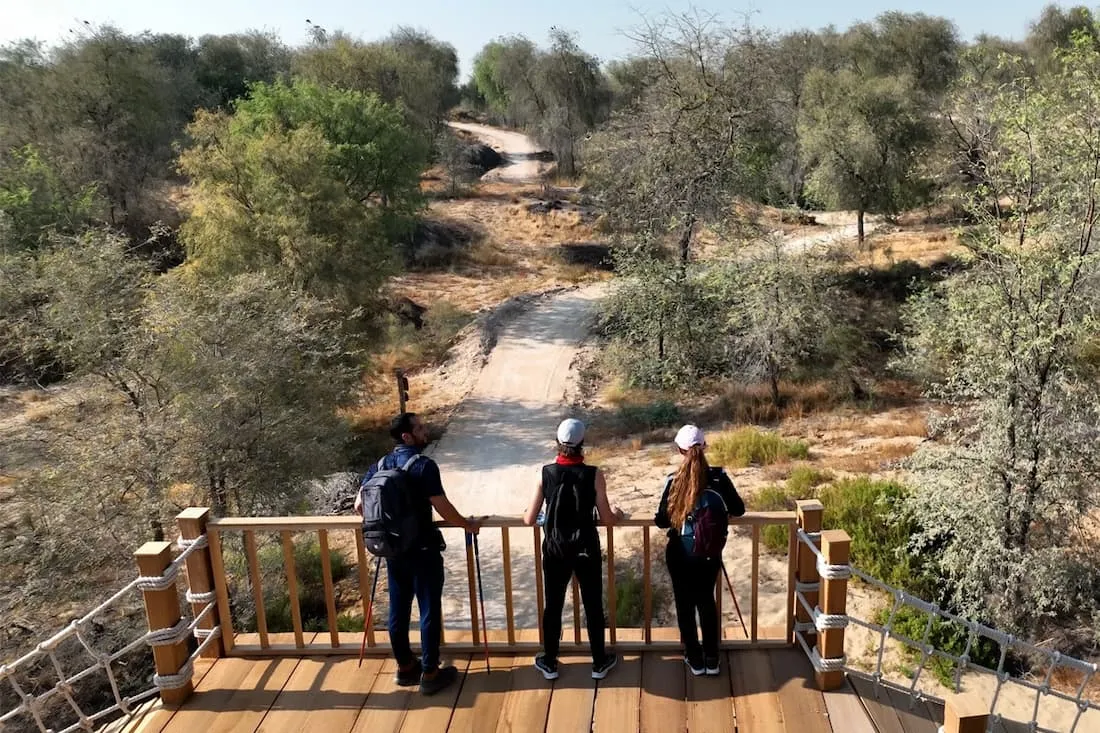 Mushrif Park Walking Track