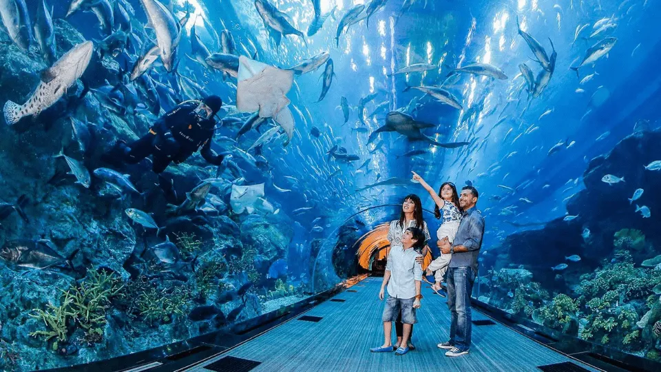 dubai tourist attractions 2022
