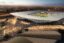 Two Football Stadiums To Open In Dubai