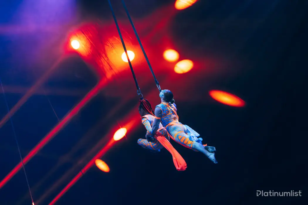 Pluma Circus Dubai