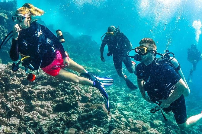 Jumeirah beach diving 