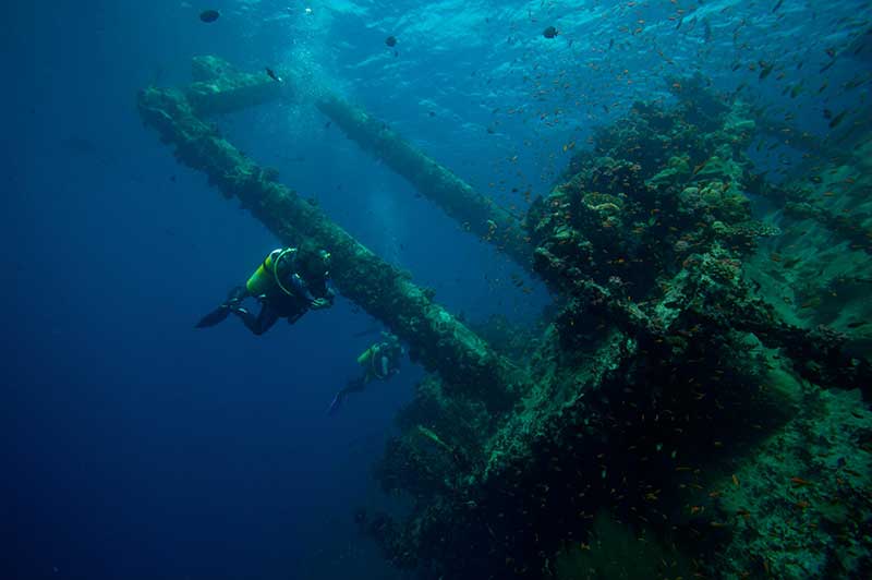 Zainab Wreck