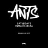 ANTS à Ibiza
