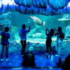 Aquarium de Paris: Entry Ticket