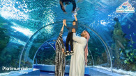 Fakieh Aquarium