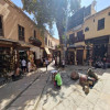 Fez Medina Guided Walking Tour in Morocco