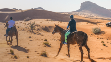 ركوب الخيل في الصحراء