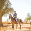 Horse Riding At Mleiha Arena