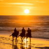 Horseback Ride at Le Ranch des Dunes, Dakhla