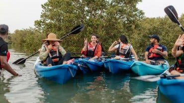 Kayaking in the Mangroves