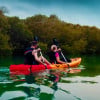 Mangroves Kayaking at Purple Island - Qool Qatar