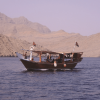 Muscat Dolphin Cruise With Shared Transfers