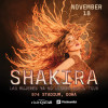 Shakira Live at 974 Stadium in Doha