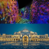 TeamLab Phenomena + Qasr Al Watan - Combo