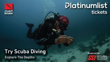 Try Scuba Diving in Jeddah